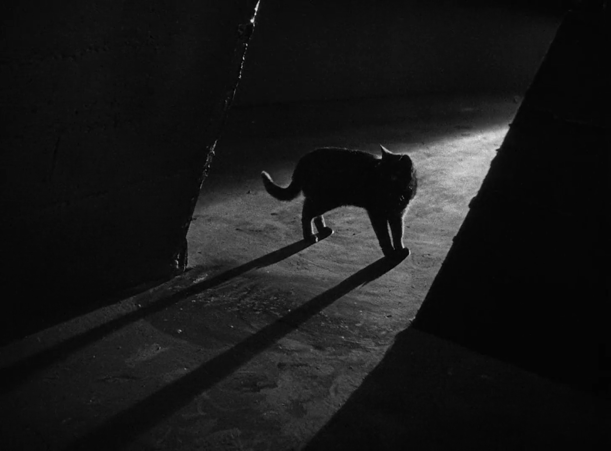 The Black Cat (1934)