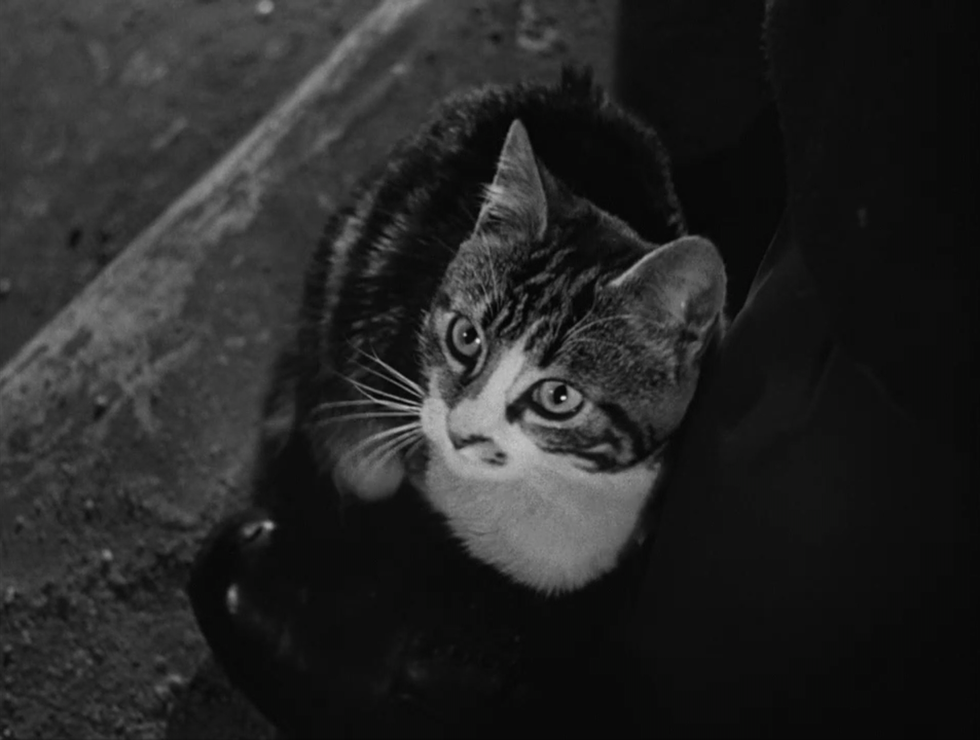 The Third Man (1949)