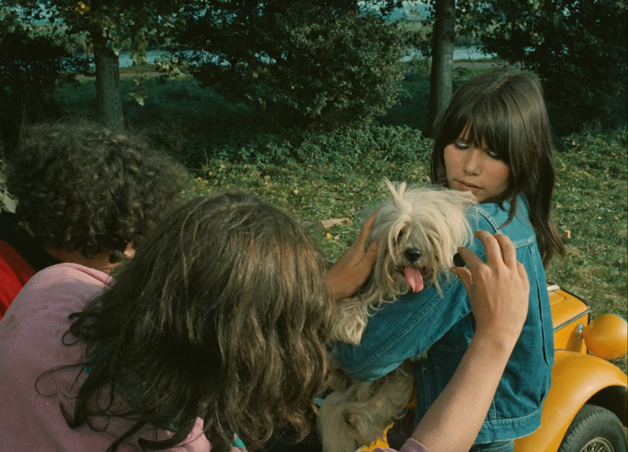 Trafic (1971)