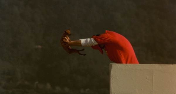Barking Dogs Never Bite (2000)