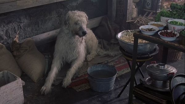 eXistenZ (1999)
