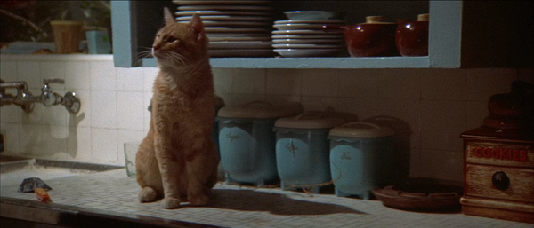 The Long Goodbye (1973)