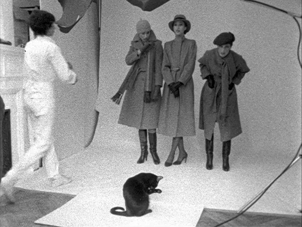 Model (1981)