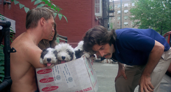 Serpico (1973)