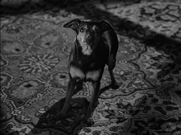 The Third Man (1949)