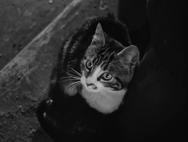 The Third Man (1949)