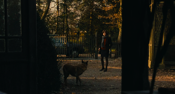 Three Colours: Red (1994)